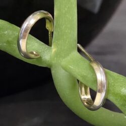 AROS DE PELTRE